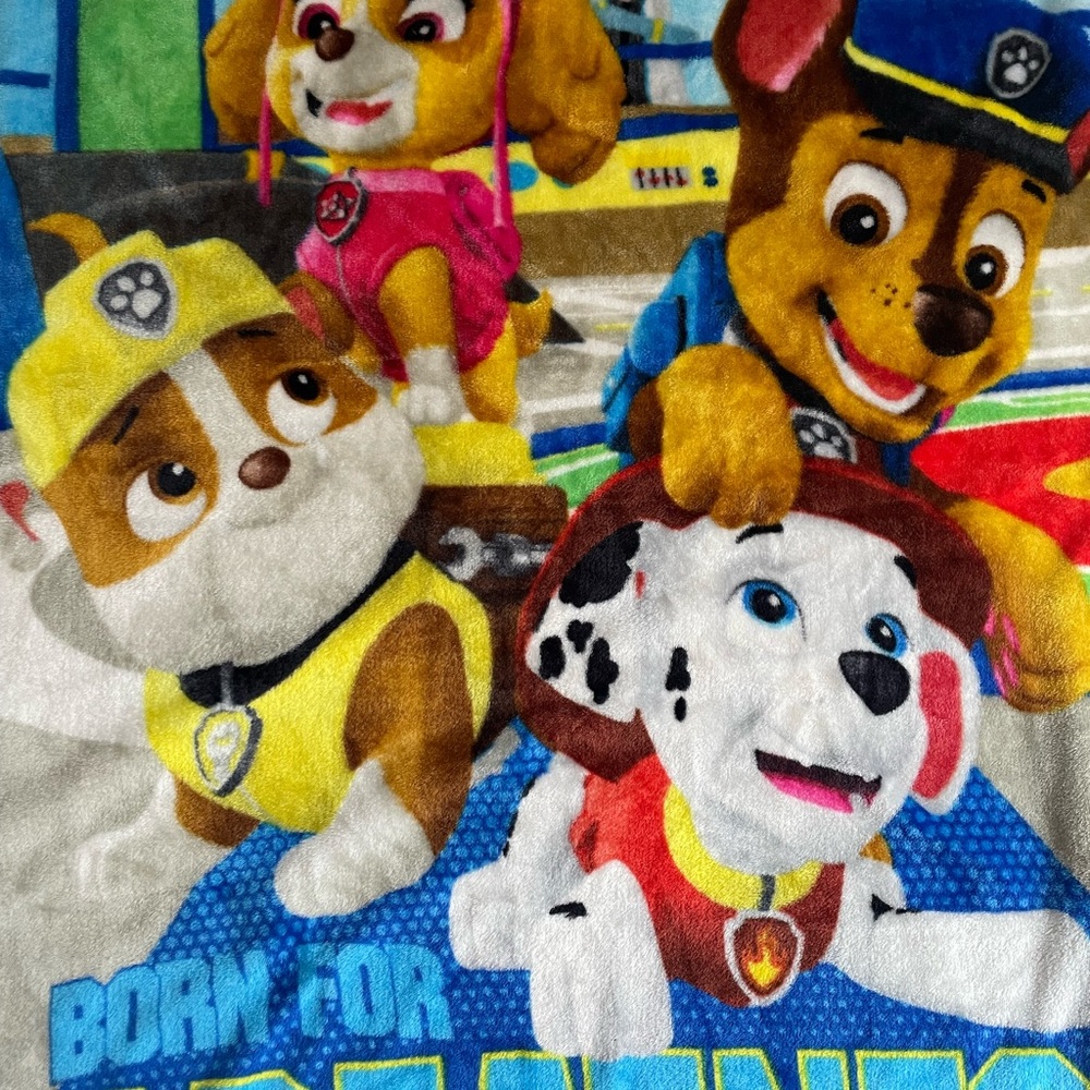 SOLD - Paw Patrol Character Blanket
